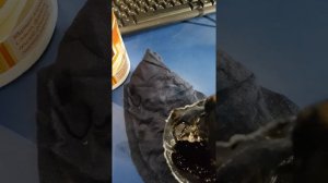 демонтаж и чистка клапана EGR на 3008 Peugeot 1.6 hdi