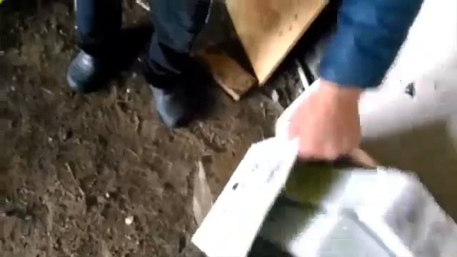 Лук з лиж смотреть онлайн