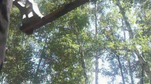 Крафтовая полочка на лук.