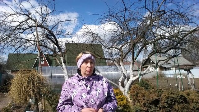 КАЛЕНДАРЬ садовода на Май. У огородников напряженный месяц
