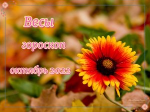 Весы! Гороскоп на октябрь 2022 года!