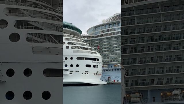 ROYAL CARIBBEAN. NASSAU BAGAMAS.HARMONY OF THE SEAS. КРАСАВИЦЫ ЛАЙНЕРЫ В ПОРТУ.