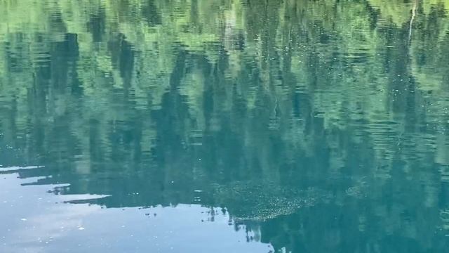 04.06.2023. Погода в Сочи в июне.Смотри на Чёрное море каждый день.