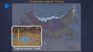 8 класс - География - Закономерности распространения почв
