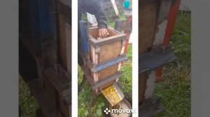 Эфективный воскопрес своими руками.