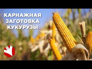 Немецкая технология карнажной заготовки кукурузы