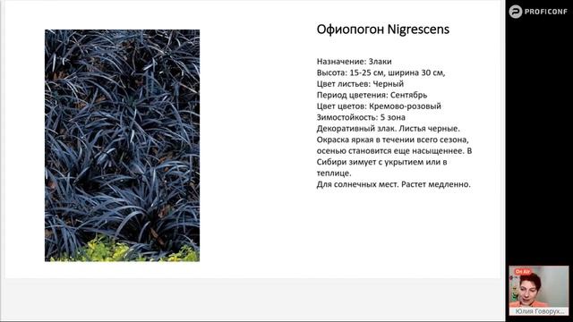 Декоративнолиственные растения. Использование в ландшафтных композициях.