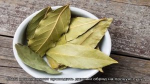 Как привлечь финансовое благополучие и очистить энергетику дома при помощи лаврового листа