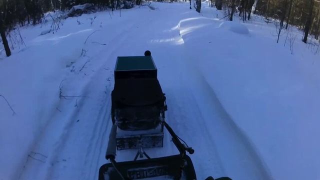 Мотобуксировщик в сосновом бору смотреть онлайн