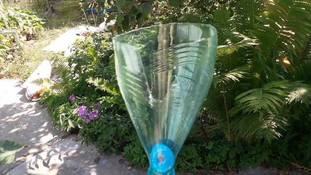 Как собрать яблоки с высокого дерева смотреть онлайн