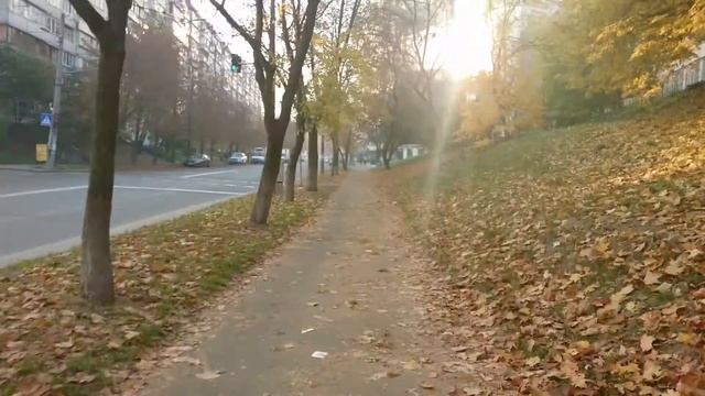 Фитнес клуб InFiz. Как дойти от ЖД вокзала Южный в Киеве смотреть онлайн