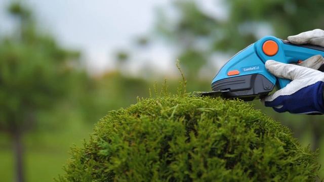 Питомник "Зелёный контур". Производство формированных растений смотреть онлайн