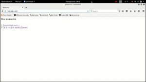 Поиск уязвимостей веб-сайтов руками и сканерами