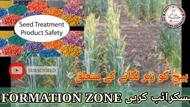 Best way of Fertigation. Ammonium Sulfate