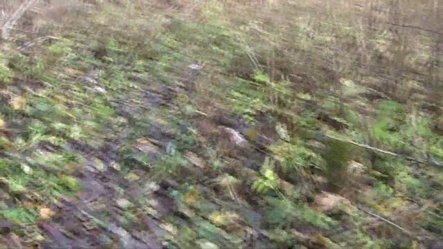 Легенды ! Радиация УЛУЧШАЕТ здоровье!Золотая статуя! Ненормативная лексика!Matzkahlen.Königsberg