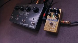 Catalinbread - Echorec - Tape Delay