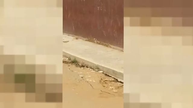 Вы все еще хотите купить квартиру в актауской новостройке?!! смотреть онлайн