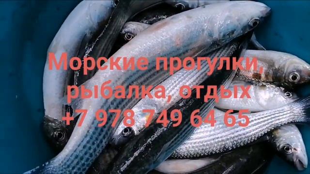 Морская прогулка и рыбалка на катере в Балаклаве