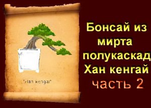 2.Бонсай из Мирта стиль полукаскад Хан - кенгай часть 2..mp4