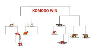 APEX PREDATOR TOURNAMENT-ANIMATION