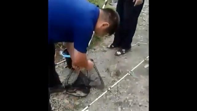 Рыбалка в Караганде (карп) смотреть онлайн