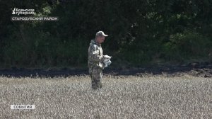В Стародубском районе Брянской области проверили качество пшеницы