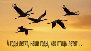 А годы летят, наши годы, как птицы летят ...