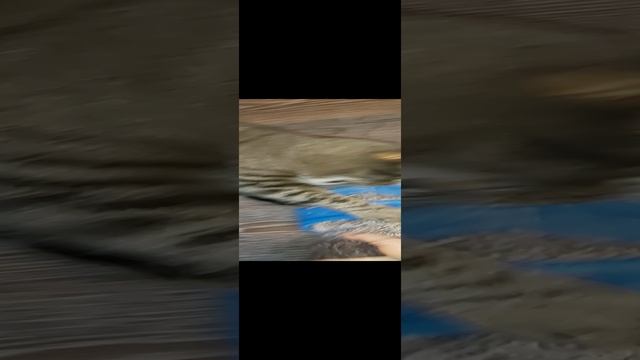 он не любит носки смотреть онлайн