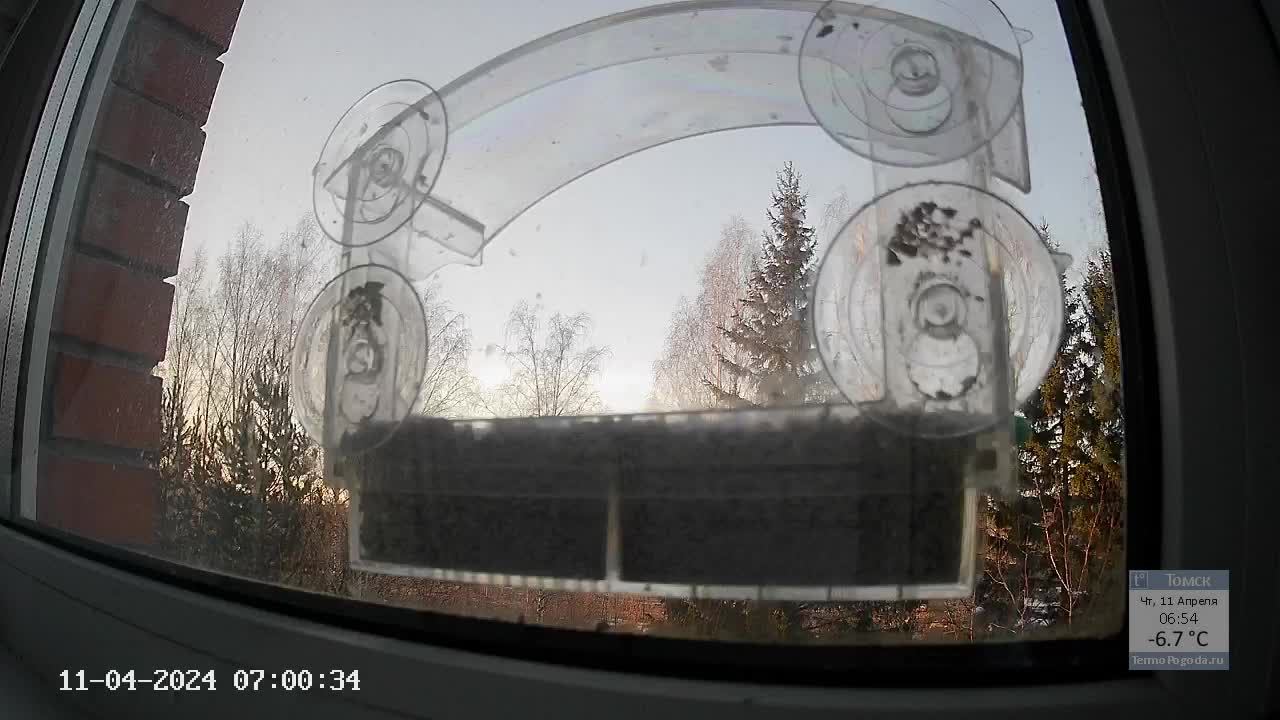 Кормушечка 11.04.24