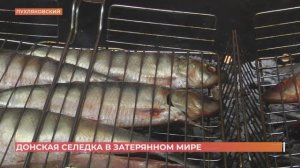 Гастрономический фестиваль "Донская селедка" прошел в хуторе Пухляковском