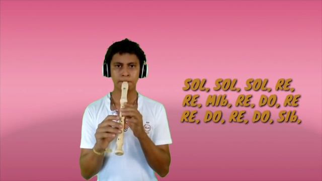 HAVANA - CAMILA CABELLO - TOCADO NA FLAUTA ( PLAYED ON FLUTE ) COM NOTAS смотреть онлайн