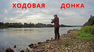 Лучшая снасть на живца. Ловит всегда. Рыбака на Оке в сентябре.