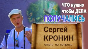 Кронин С. Что нужно, чтобы дела получались? (ответы на вопросы)