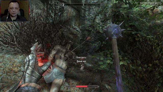 Дикий маг Беспутний Бертулус-Потрошитель ➤ №18 Enderal: Forgotten Stories смотреть онлайн