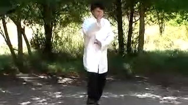 36 форм стиля Ян (боевые применения 1 дорожки) смотреть онлайн