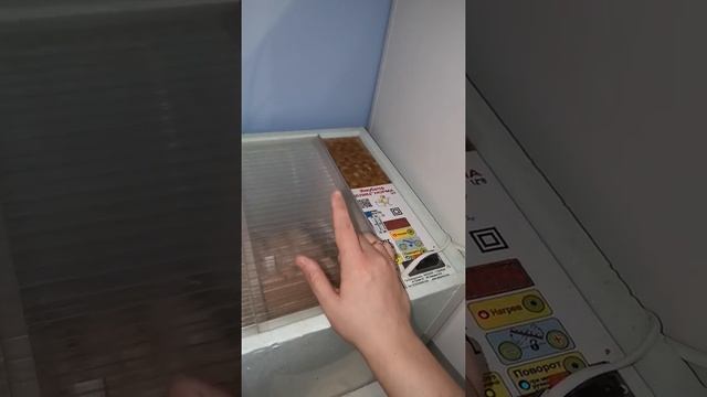 Инкубатор блиц норма 72. Закладка яиц и настрой инкубатора.