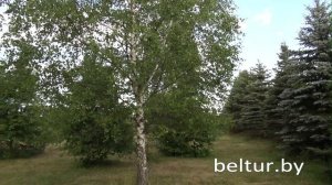 Туристический комплекс Орша - территория, Отдых в Беларуси