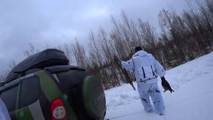 Утренняя охота в тайге. Глухарь из под ног.Хмао-югра..mp4