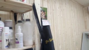 Экспресс-линька удалась)