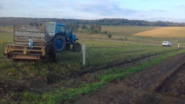 УБОРКА ЯБЛОК 2017✔2 МТЗ 80 и 2 МТЗ 82.1 смотреть онлайн