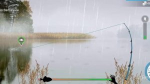 где поймать обыкновению щуку в my fishing world
