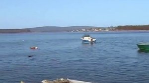 Сахалинский осетр. Часть 1