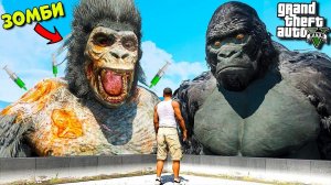 НАШЕЛ ЗОМБИ БРАТА КИНГ КОНГА В ГТА 5 МОДЫ! ЗОМБИ АПОКАЛИПСИС ОБЗОР МОДА GTA 5! ГТА МОД ИГРЫ MODS