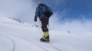 Как правильно ходить в кошках