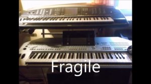 Fragile -Albano & Romina Power-Cover-KEYBOARD- Sylvia Schmiedt