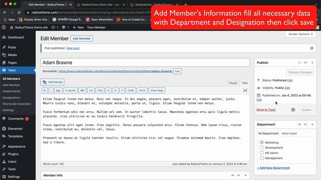 How To Use WordPress Team Members Showcase Plugin смотреть онлайн