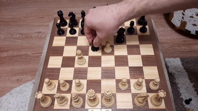 Шахматы. Пешка за 5 ходов ловит ферзя. Популярная шахматная ловушка.