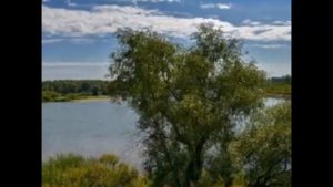 Виноградов В Н Урок № 48 №49 №50 Одержимость Человека.