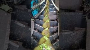 комбайн для уборки смородины