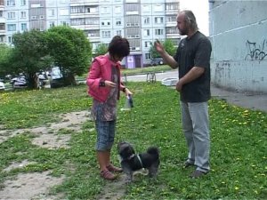 Канал ОТС про беспричинный лай на прохожих